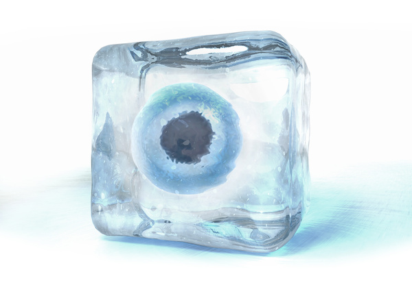 3d illustration of a egg cell frozen into ice cube