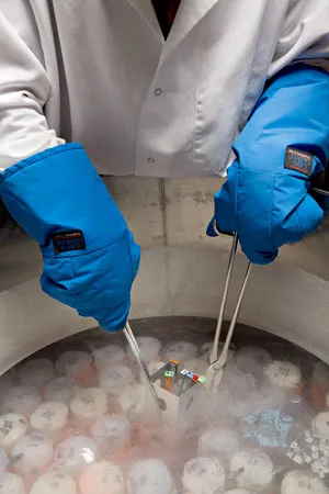 液体窒素フリーザーと液体窒素フリー細胞凍結装置の比較